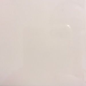 Meet your Posher, Priscila